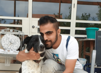 עופר שבתאי - כלבן טיפולי ומאלף כלבים מוסמך