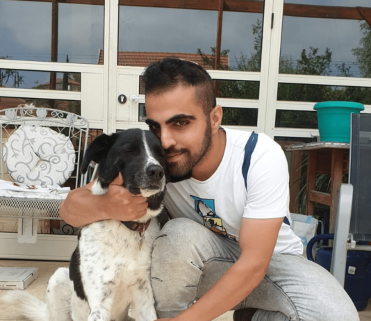 הטיפול המושלם לכלב ולילד עופר שבתאי - כלבן טיפולי ומאלף כלבים מוסמך