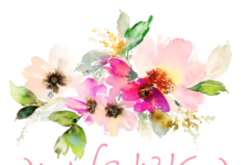 הסטודיו של נסיה