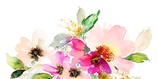 הסטודיו של נסיה